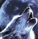 wolf emote