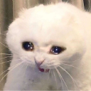 eb2053ca4a4d1e7aaa7cbe24f709c213 Emote