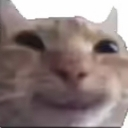 emoji_27 Emote