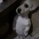 wtf emote