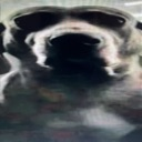 son emote