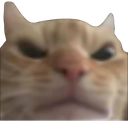 AngryCat emote