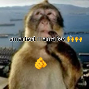 trust emote