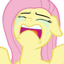 FlutterCry emote