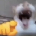 1gatorindo emote
