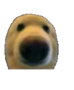 Dwag Emote