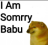 tmr_somry emote