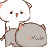 17 emote