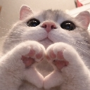 emoji_1 Emote