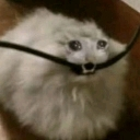 emoji_9 emote