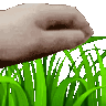 zzzzzpokemontouchgrass emote
