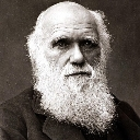 Charles Emote