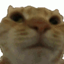 emoji_98 Emote