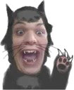 derek_cat Emote