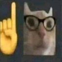 nerd Emote