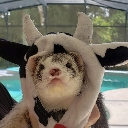 emoji_9 Emote
