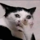 __ Emote