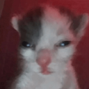 brotherer emote