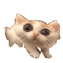 cat03cscared emote