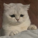 z__ emote