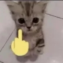 fuckyou Emote