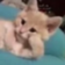 emoji_38 emote