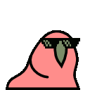 DealWithIt_rainbow_Parrot emote