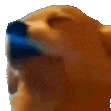 dog_jam emote