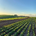 Agriculture emote