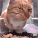 Screenshot_20250212_195029_Googl Emote