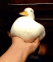 ku_urdu emote