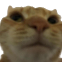 what emote