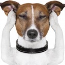 emoji_50 Emote