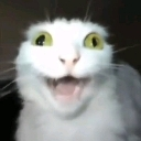 emoji_96 Emote