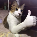 biba emote
