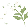 whiteflowers emote