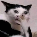 emoji_9 emote