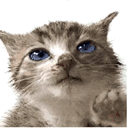 emoji_4 Emote
