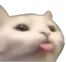 cat_Bleh emote