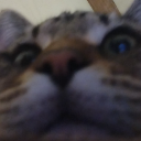BanditLurk emote