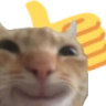 catstare_thumbsup Emote