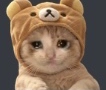 cryingcat emote