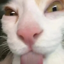emoji_50 emote