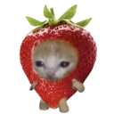 strawberrycatto emote