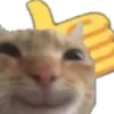 emoji_20 emote