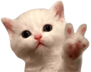 kittenpeace emote