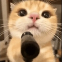 ban Emote