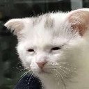 emoji_8 emote