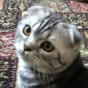 emoji_35 emote
