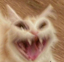MS_catshriek_Dot_GG_femboiss emote